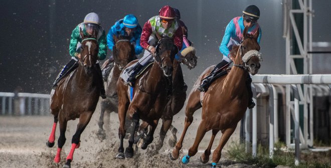 Las Noches del Hipódromo 