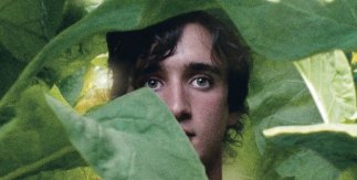 Alice Rohrwacher, Lazzaro felice [Lazzaro feliz], película, 201