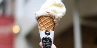 Bico de Xeado
