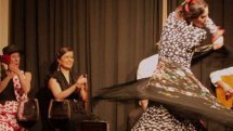 Flamenco Route Madrid