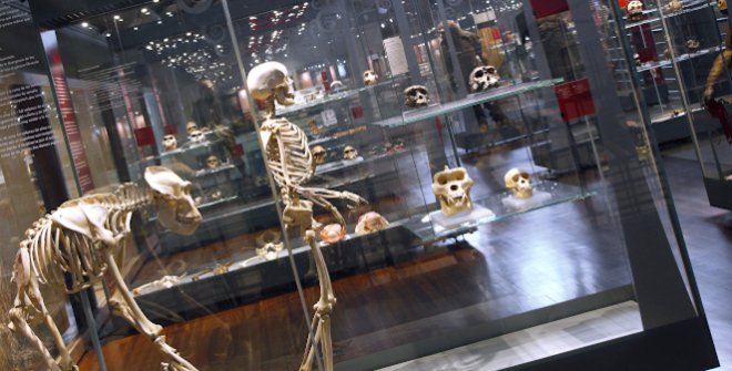 Museo de Ciencias Naturales