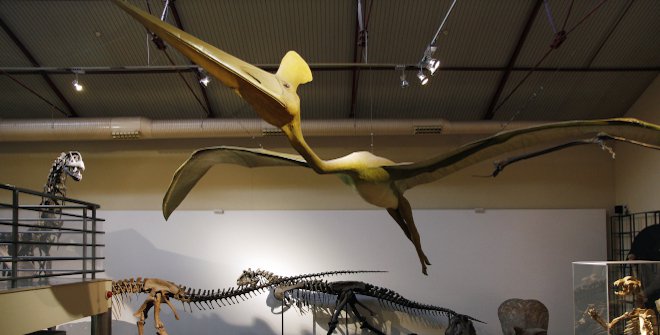Museo de Ciencias Naturales