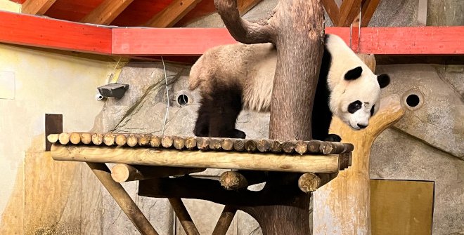 Zoo de Madrid