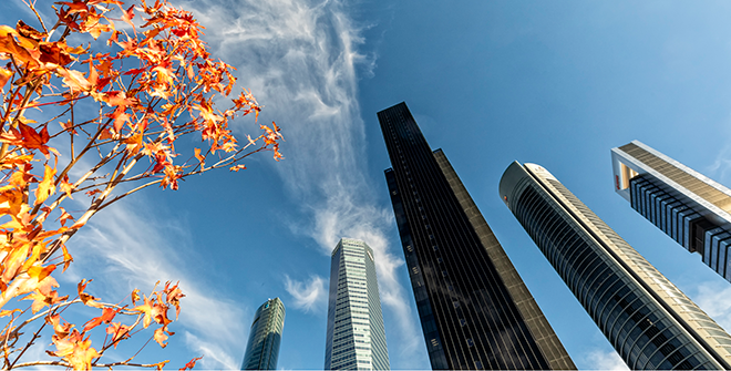 Cuatro Torres Business Area