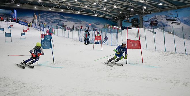 Snozone